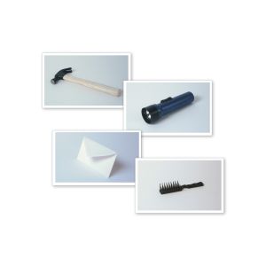 LARK-2 Card Kit